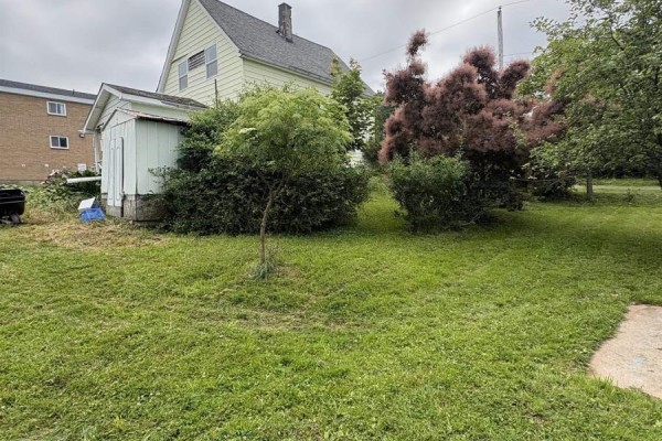 Backyard of the property with the rear of the house and dense shrubbery. - 37 Rose Avenue, Trenton
