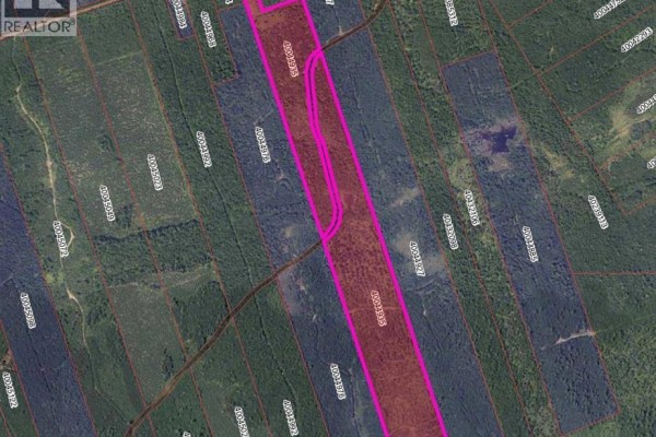 37.8 Hec Bettsburg Road, Bettsburg, NB E9C1L1 Photo 3