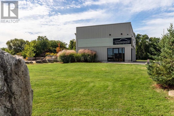 370 Raglan Street, Collingwood, ON L9Y3Z1 Photo 4