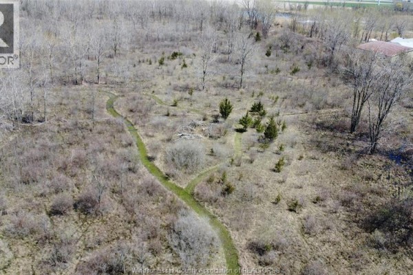 3703 Goodreau Line, Coatsworth, ON N0P1H0 Photo 4