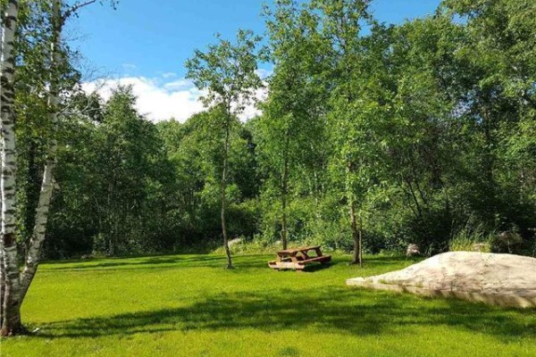 Open grassy area with a picnic table amidst trees and bright sunlight. - 37042 Road 103 N Bay, St Clements
