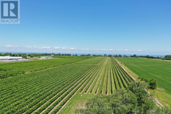 3705 North Service Road, Lincoln, ON L3J1J3 Photo 5