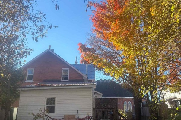 371 Miller Street, Pembroke, ON K8A5Y8 Photo 2