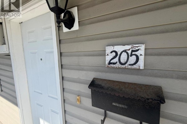 Close-up of door number 205 with a white door and mailbox. - 3712 24 Avenue Unit# 205, Vernon