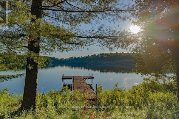Wooden dock extending into a lake with sunbeams filtering through pine trees. - 3712 Brunel Road, Lake Of Bays