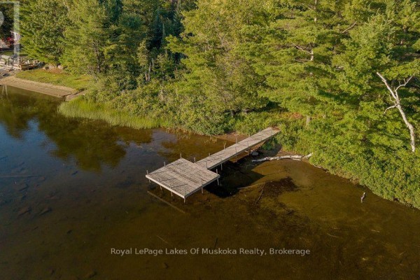 Aerial view of a wooden dock leading into a shallow, tree-lined lake. - 3712 Brunel Road, Lake Of Bays