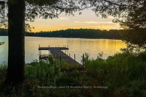 Wooden dock on a lake at sunset with trees silhouetted against the orange sky. - 3712 Brunel Road, Lake Of Bays