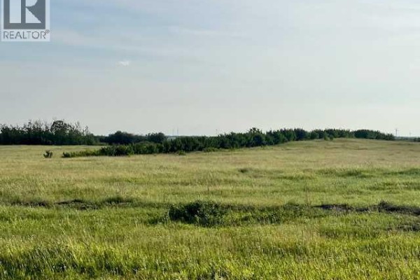 37232 Rr135, Rural Paintearth No  18, County Of, AB T0B0X0 Photo 4