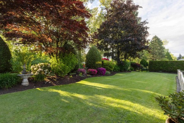 3733 Devonshire Drive, Surrey, BC V3Z0H8 Photo 4