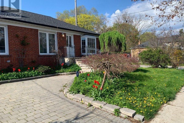 374 Horsham Avenue, Toronto