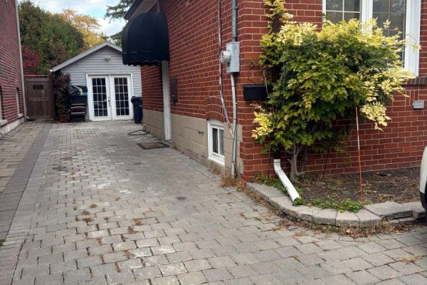 374 Horsham Avenue, Toronto, ON M2R1G9 Photo 2