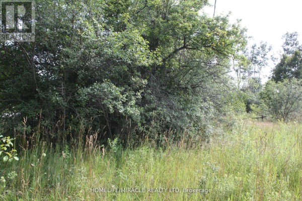 376 Highway 15, Rideau Lakes, ON, photo 3