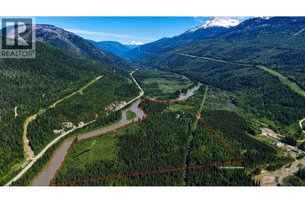 3769 Bone Creek Forest Service Road, Blue River, BC V0E1J0 Photo 5