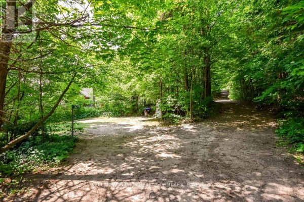 Dirt driveway leading to the property, surrounded by dense greenery. - 379 Champlain Road, Penetanguishene