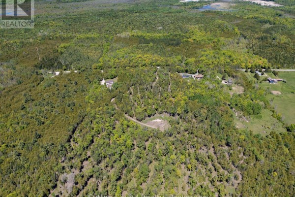 Aerial view of Boat Lake and surrounding wooded area, with Elm Road indicated. - 379 Elm Road, South Bruce Peninsula