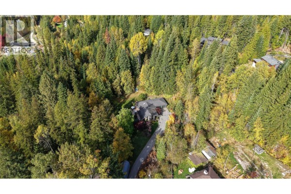 Storage - 3795 Aaron Road, Bonnington, BC V0G2G3 Photo 3