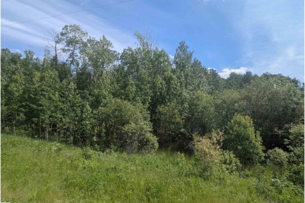 #38 56110 Rge Road 13, Rural Lac Ste  Anne County, AB, photo 3
