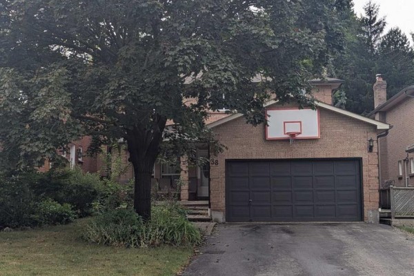 38 Bambi Trail, Caledon