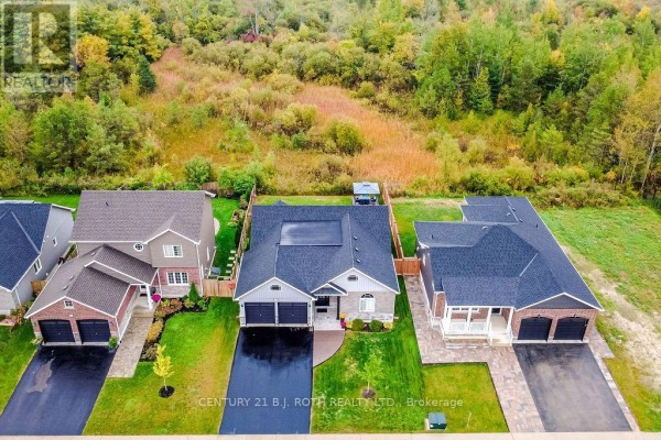 Aerial view of houses on Beverly Street in Springwater with treed area behind. - 38 Beverly Street, Springwater