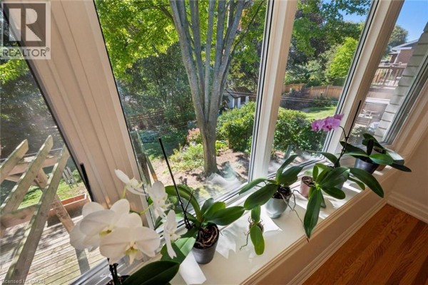 Close-up view of orchids on a windowsill, looking out onto a green backyard. - 38 Callander Drive, Guelph