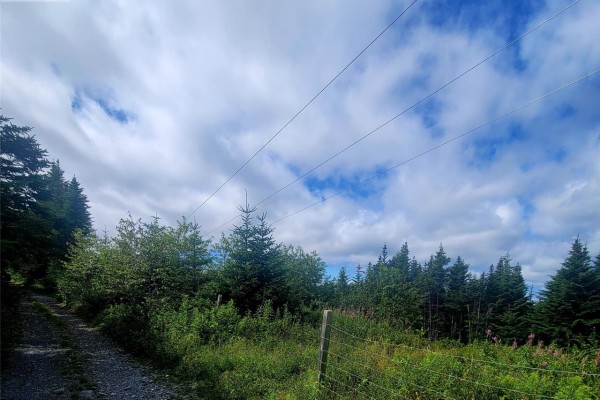 38 Cathill Road, Bay Roberts, NL A0A1G0 Photo 2