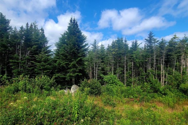 38 Cathill Road, Bay Roberts, NL A0A1G0 Photo 3