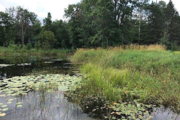 38 Ch. Du Lac-lawless, Litchfield, QC J0X1K0 Photo 5