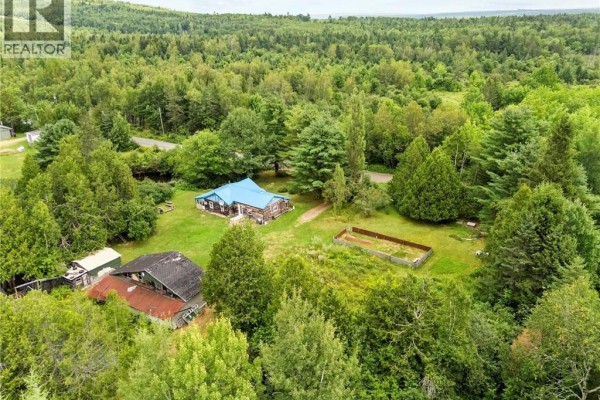 Kitchen - 38 Ferry Bank Road, Hoyt, NB E5L2E7 Photo 4