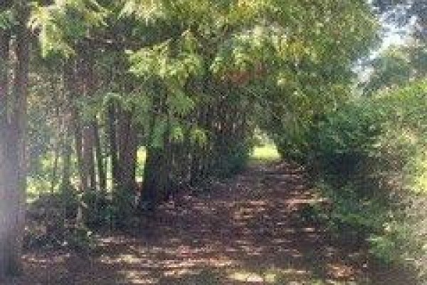 38 Lembitu Avenue, Georgina, ON L0C1L0 Photo 2