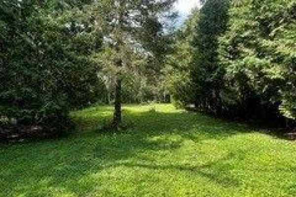 38 Lembitu Avenue, Georgina, ON L0C1L0 Photo 3