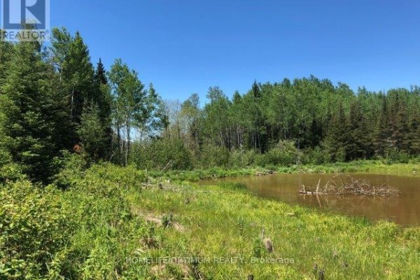 38.24 Acres In Ogden Township - Pcl 24640, Timmins, ON P4N7C2 Photo 2