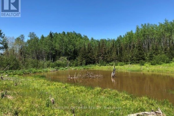 38.24 Acres In Ogden Township - Pcl 24640, Timmins, ON P4N7C2 Photo 3