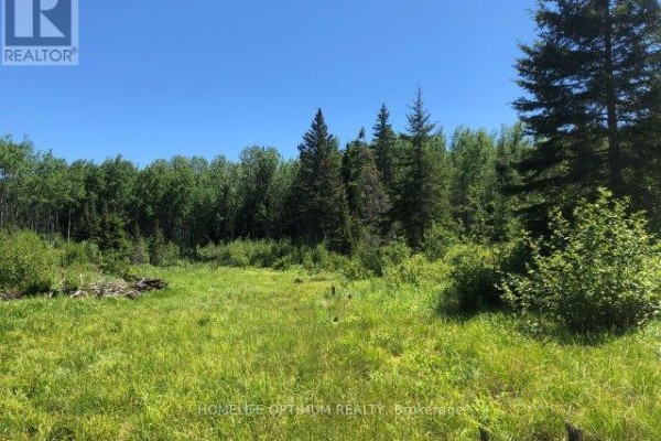 38.24 Acres In Ogden Township - Pcl 24640, Timmins, ON P4N7C2 Photo 4