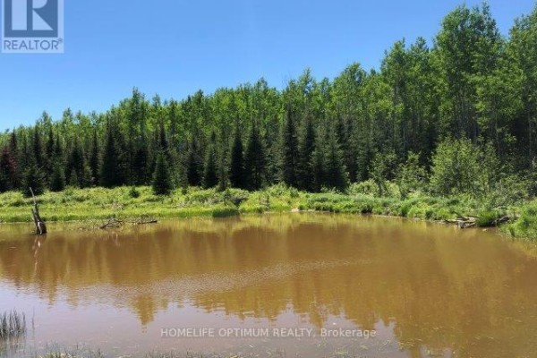 38.24 Acres In Ogden Township - Pcl 24640, Timmins, ON P4N7C2 Photo 5