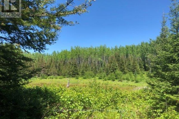 38.24 Acres In Ogden Township Pcl 24640, Timmins, ON P4N7C2 Photo 2