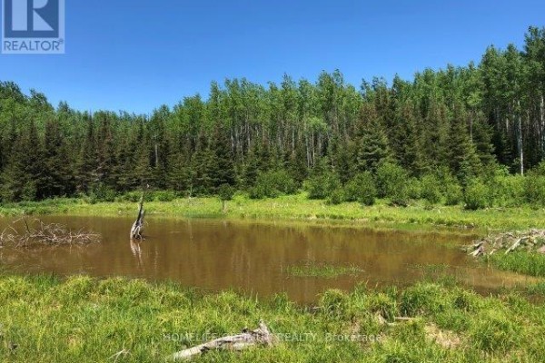 38.24 Acres In Ogden Township Pcl 24640, Timmins, ON P4N7C2 Photo 3