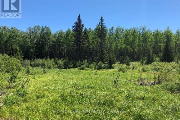 38.24 Acres In Ogden Township Pcl 24640, Timmins, ON P4N7C2 Photo 5
