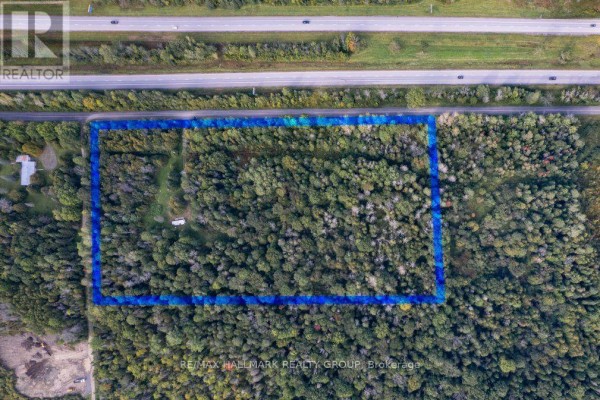 Aerial view of wooded land parcel outlined in blue, adjacent to highway. - 380 Concession 1 Road, East Hawkesbury