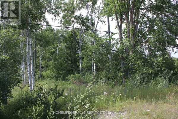 380 Highway 15 Highway, Rideau Lakes, ON, photo 2