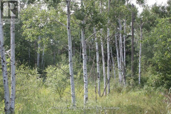 380 Highway 15 Highway, Rideau Lakes, ON, photo 3