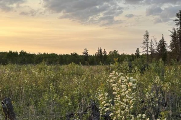 38116 Belair Road, Belair, MB R0E0E0 Photo 2