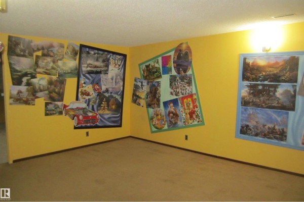 Room with yellow walls, tan carpet, and numerous framed pictures and posters displayed. - 3814 37 Av, Leduc