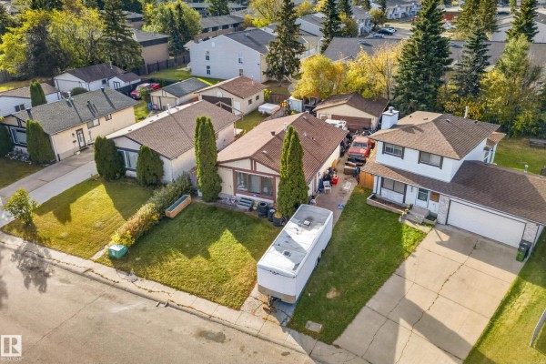 Primary Bedroom - 3819 17a Av Nw, Edmonton, AB T6L2R3 Photo 4