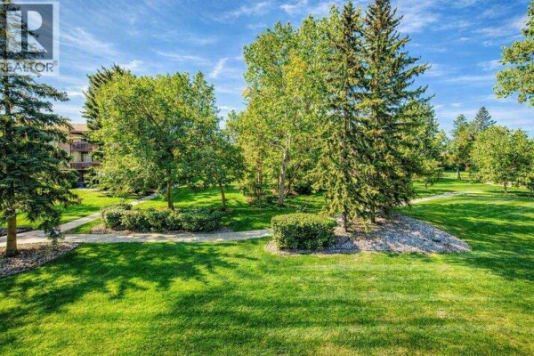 Kitchen - 382, 8948 Elbow Drive Sw, Calgary, AB T2V0H9 Photo 3