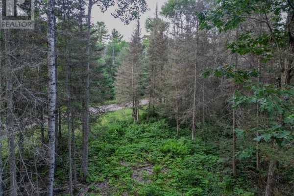 382 Old Webbwood Road Unit# Lot 1, Webbwood, ON P0P2G0 Photo 5