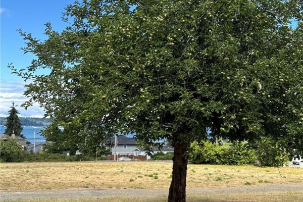 3824 Ross Ave, Royston, BC V0R2V0 Photo 4