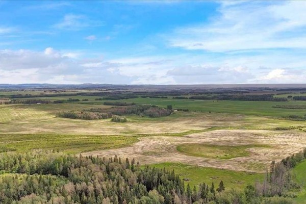 383034 B&c Range Road 42, Rural Clearwater County, AB, photo 3