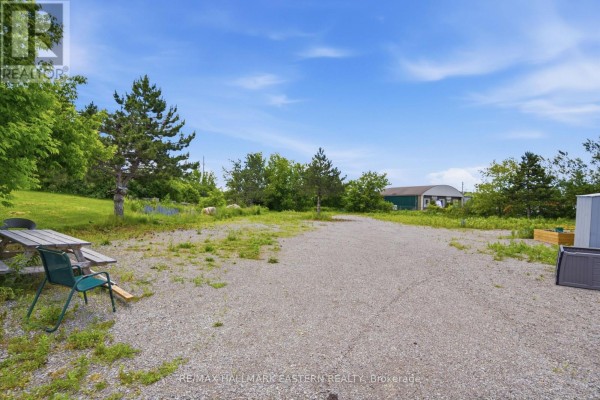 385 Lansdowne Street E, Peterborough, ON K9L2A3 Photo 4