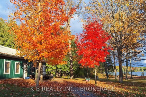 387 Christian Lane, Stone Mills, ON K0K3N0 Photo 5