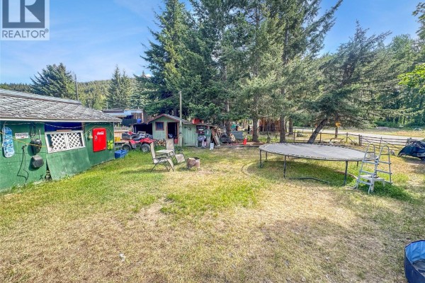 Spacious backyard with a trampoline, shed, ATV, and surrounding evergreen trees. - 387 Parrish Avenue, Coalmont Tulameen